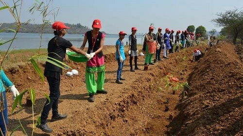 Cummins India employees work on a water project