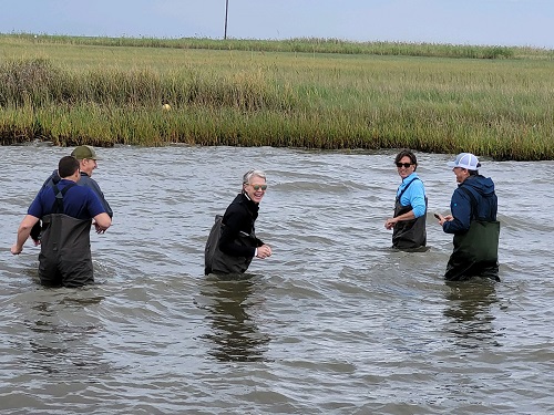 Leaders wade to see the restoration project up close