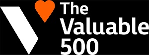 Logo for The Valuable 500 website